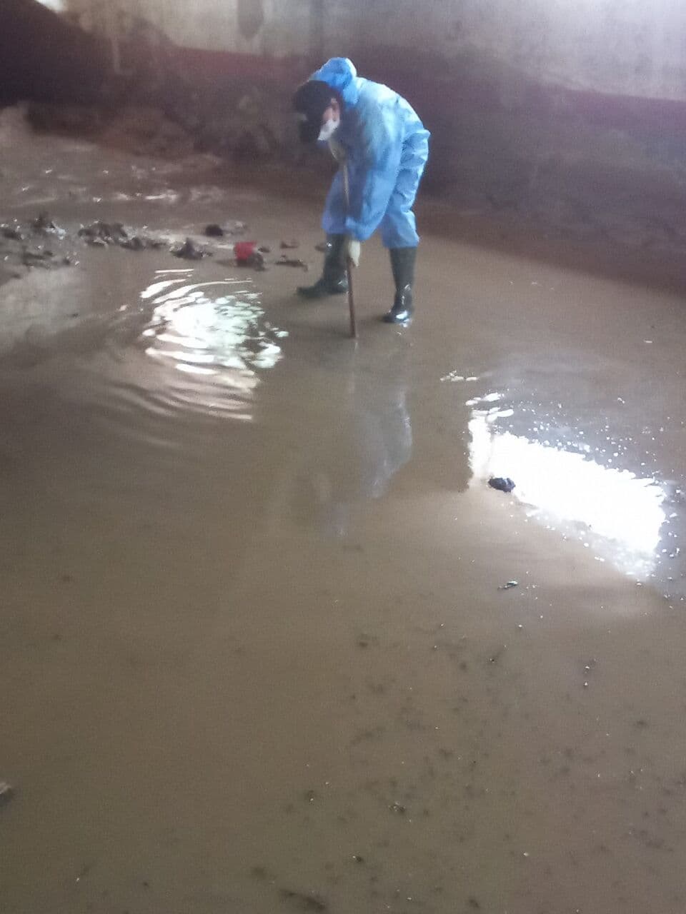 Trabajo real de Aquareparo 37